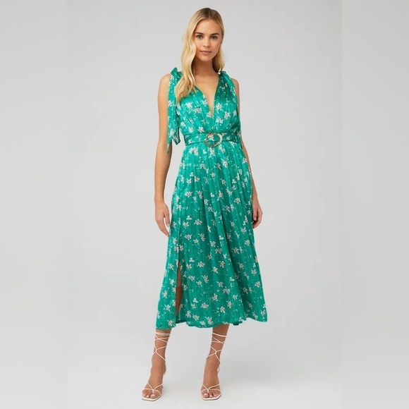 Sabina Musayev Kimber Dress in Green Print - Picture 1 of 8